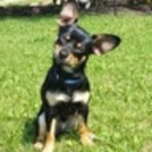 Meet your Posher, Carly